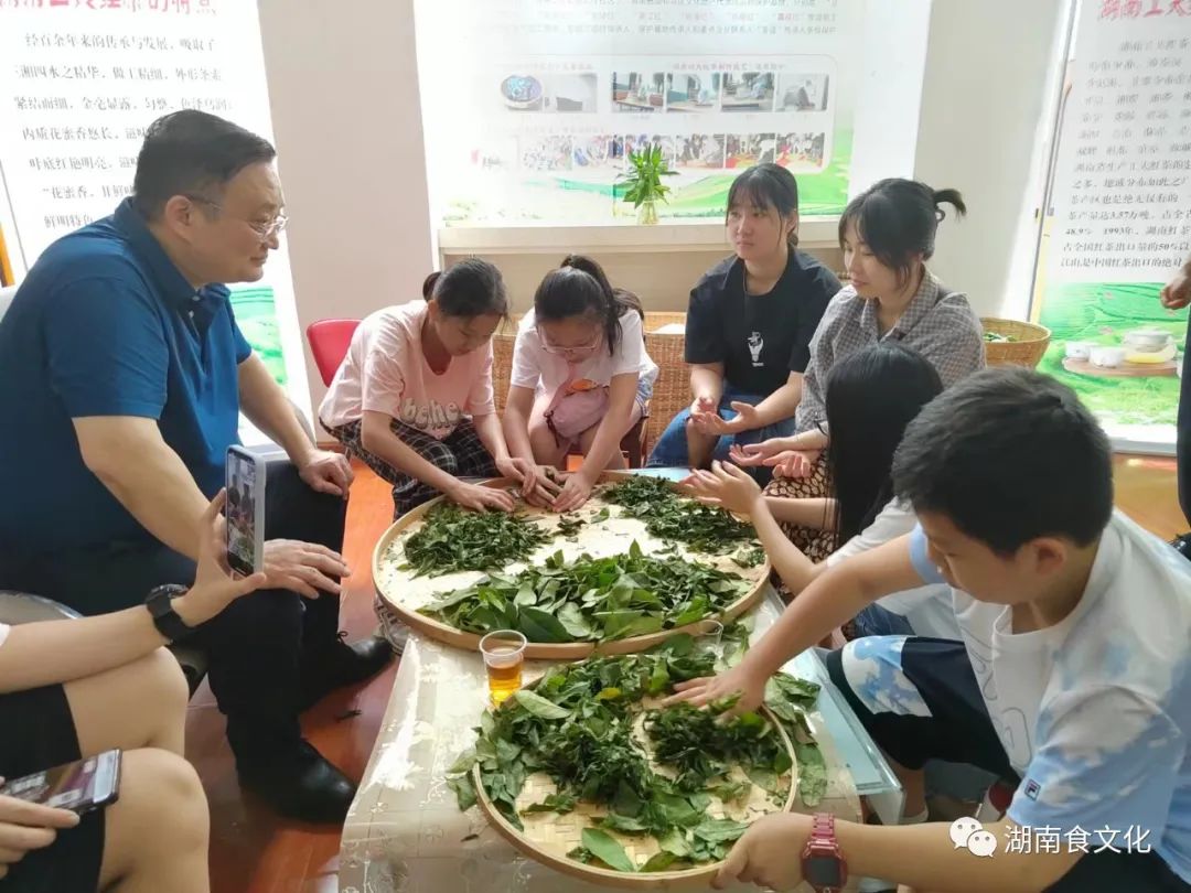 原載人民日?qǐng)?bào)“人民視點(diǎn)”茶葉是怎樣做出來(lái)的？湖南大、中、小學(xué)生體驗(yàn)湖南工夫紅茶制作